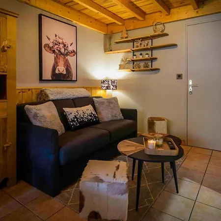 Cosy Aux Deux Alpes Avec Vue Sur La Montagne D'or